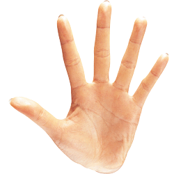 hand_13_1.jpg